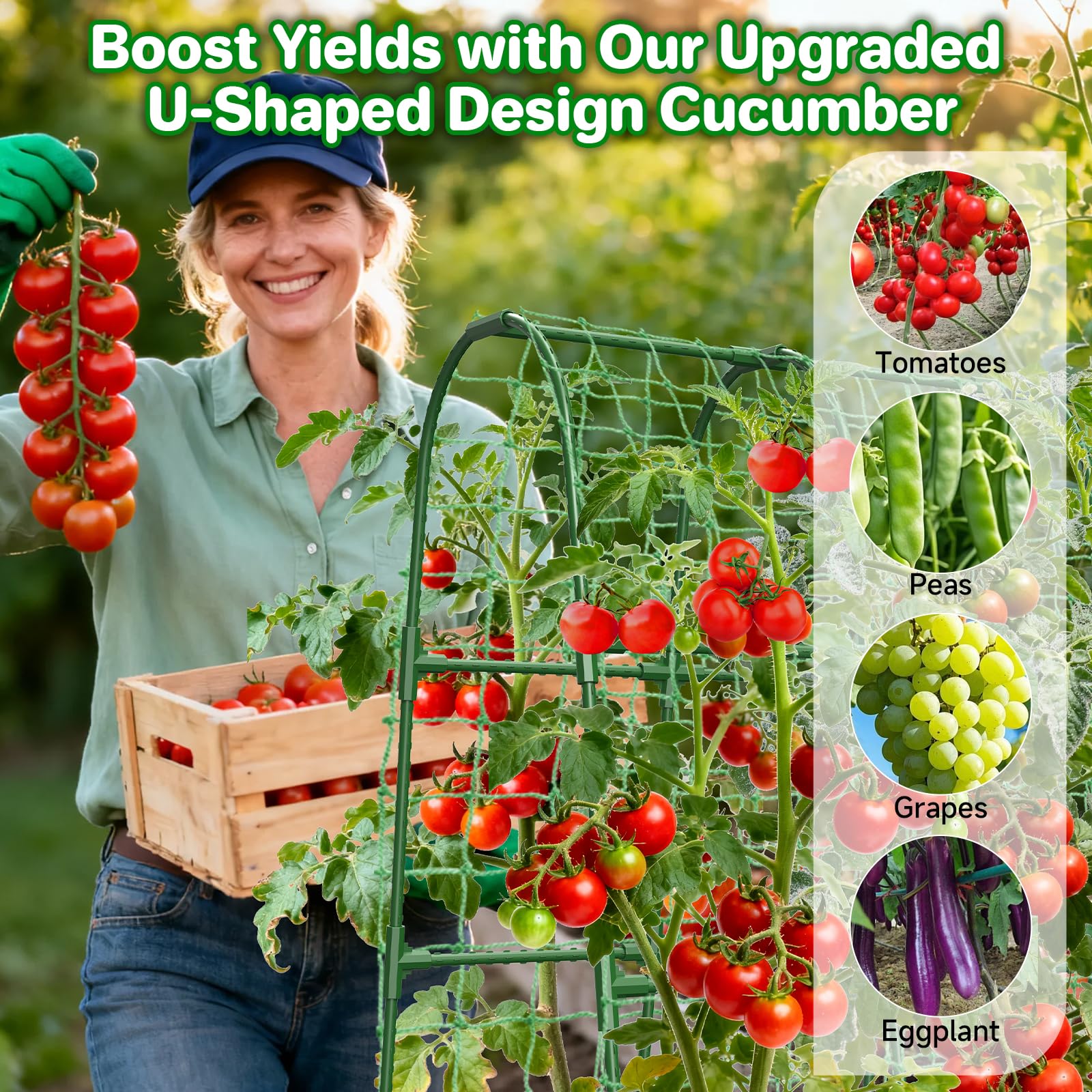 MYMULIKE Cucumber Trellis U-Shape in a vegetable garden