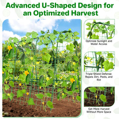 MYMULIKE Cucumber Trellis U-Shape side view showing height