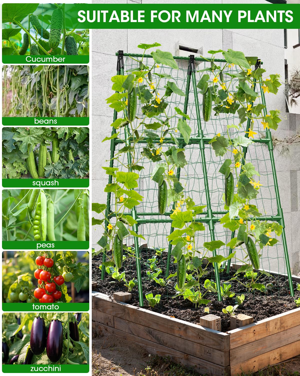 MYMULIKE Cucumber Trellis with climbing plants