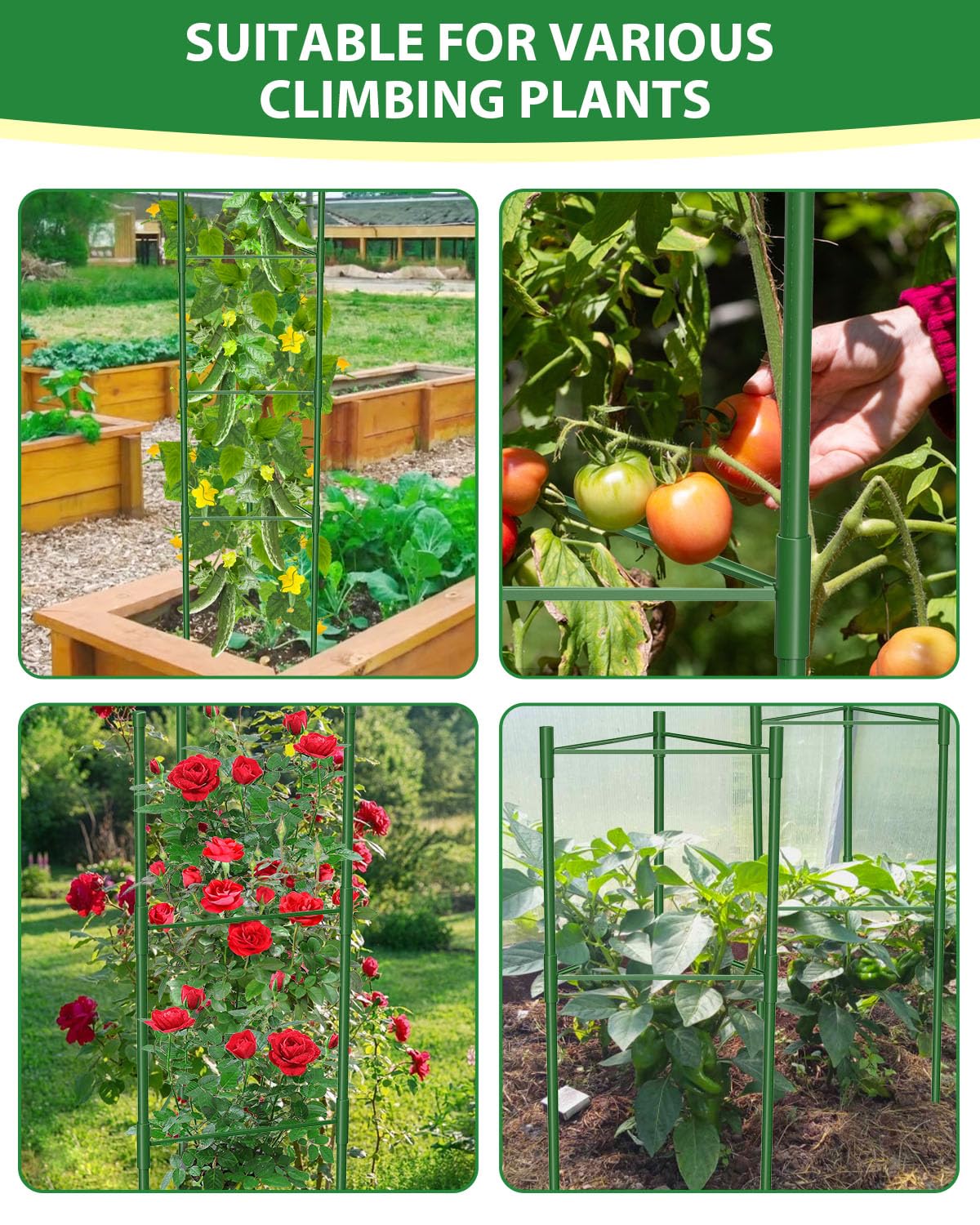 MYMULIKE tomato cage with binding wires included