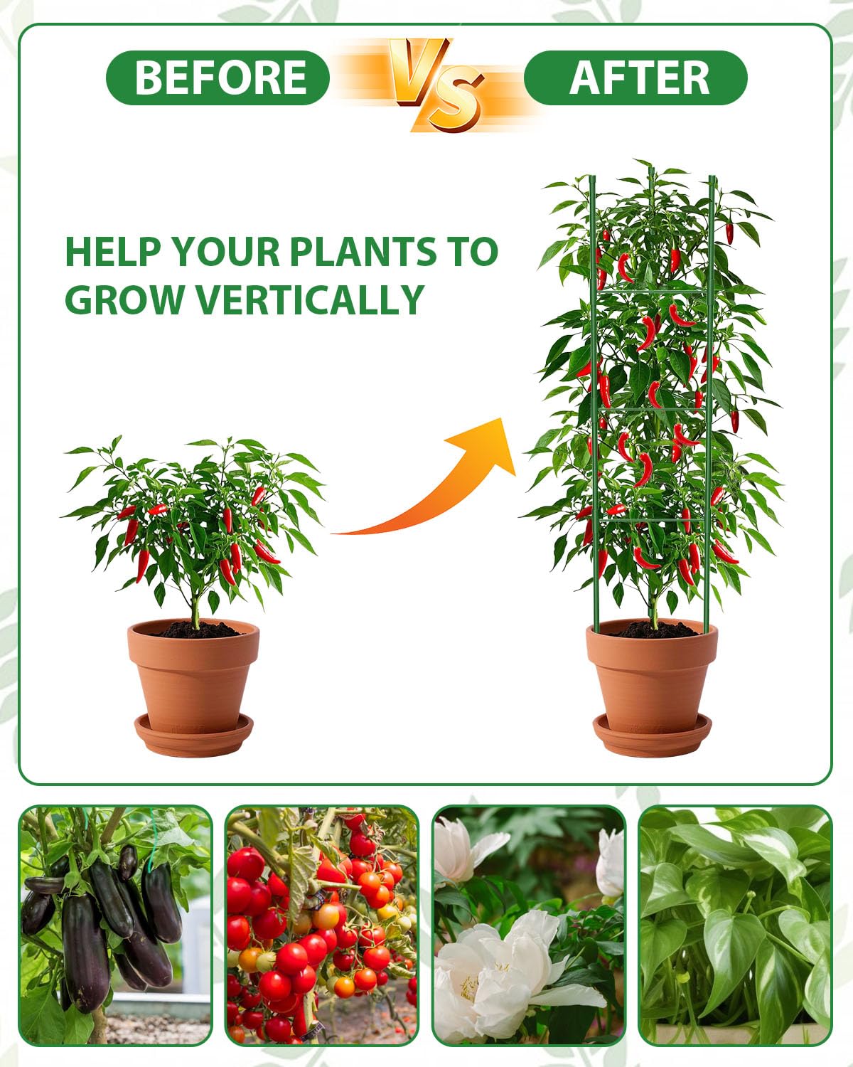 MYMULIKE Tomato Cages in a greenhouse setting
