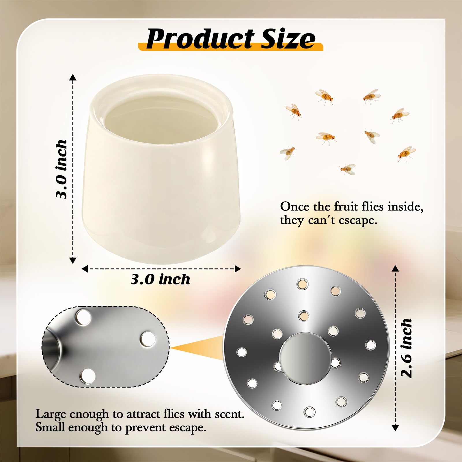 Mysora Fruit Fly Trap with apple cider vinegar inside