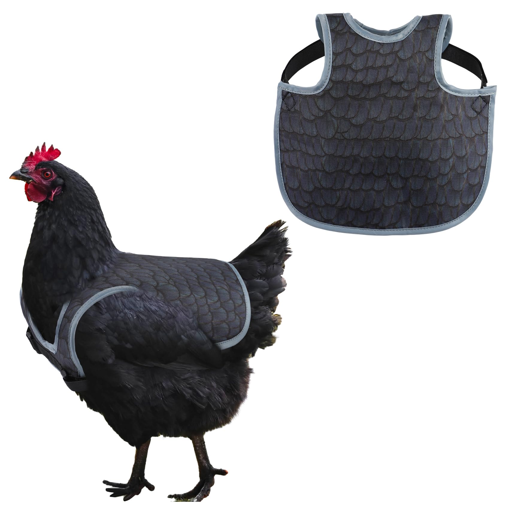MYWSN Chicken Saddle front view in black