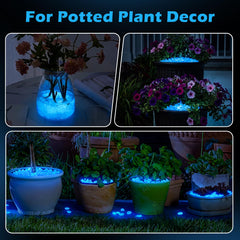 NAMTSO glow in the dark pebbles in a fairy garden