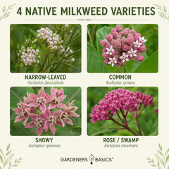 Narrow-leaved milkweed seeds packet from Gardeners Basics