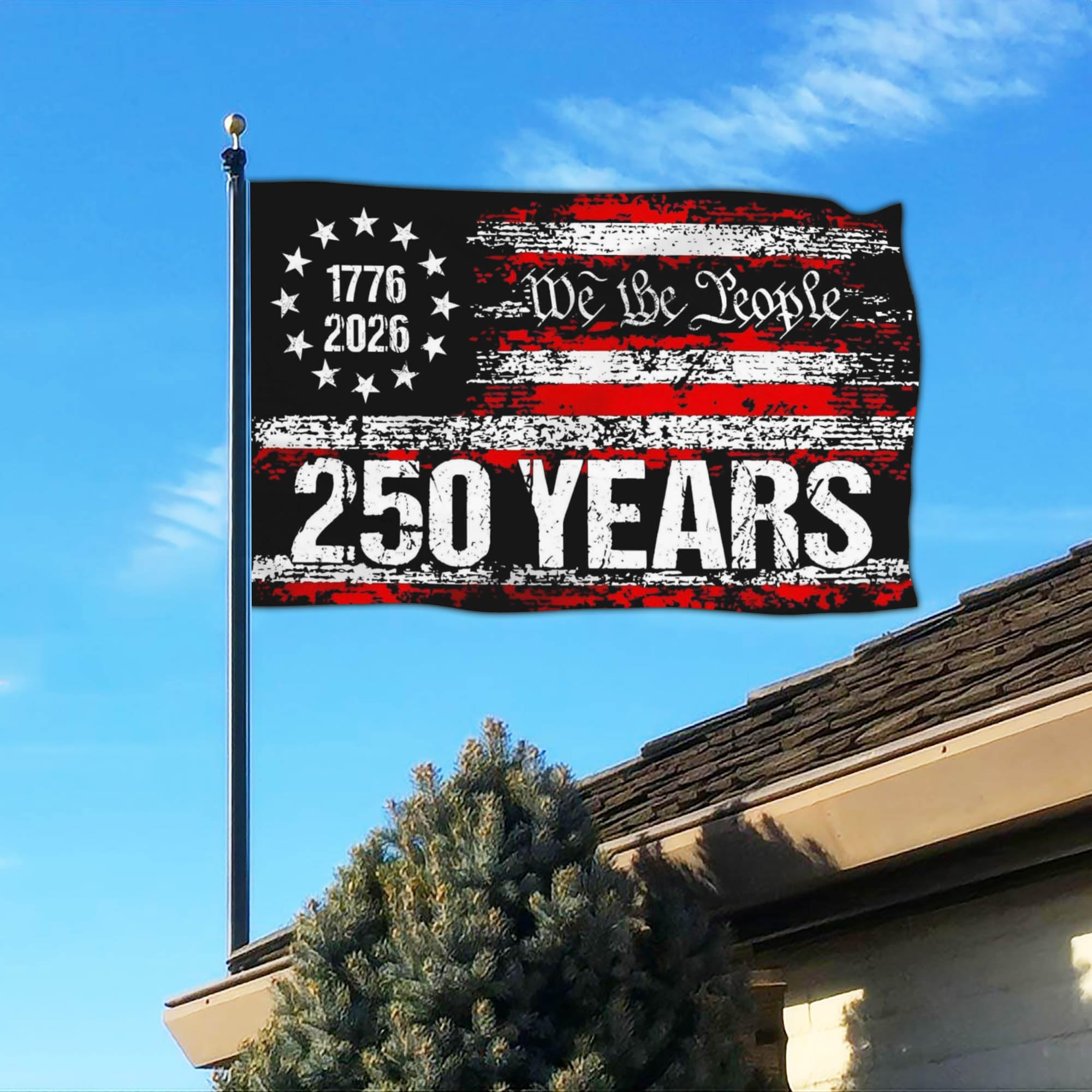 NASIAN 250 Year American Anniversary Flag packaging