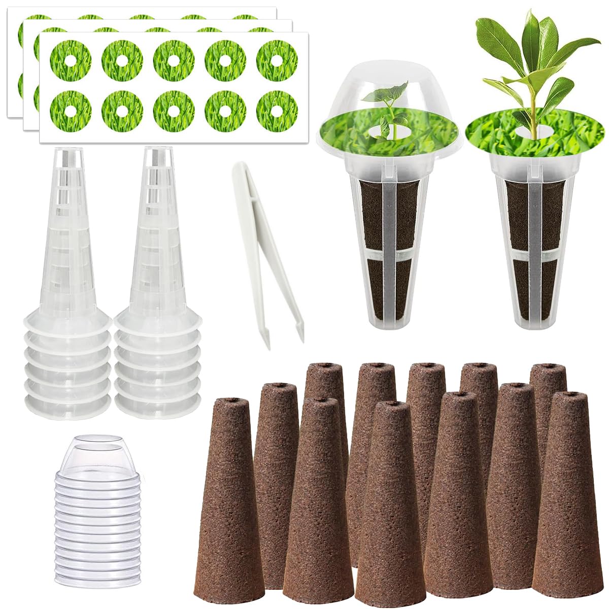 Natalolo 67 Seed Pod Kit with sponges and labels