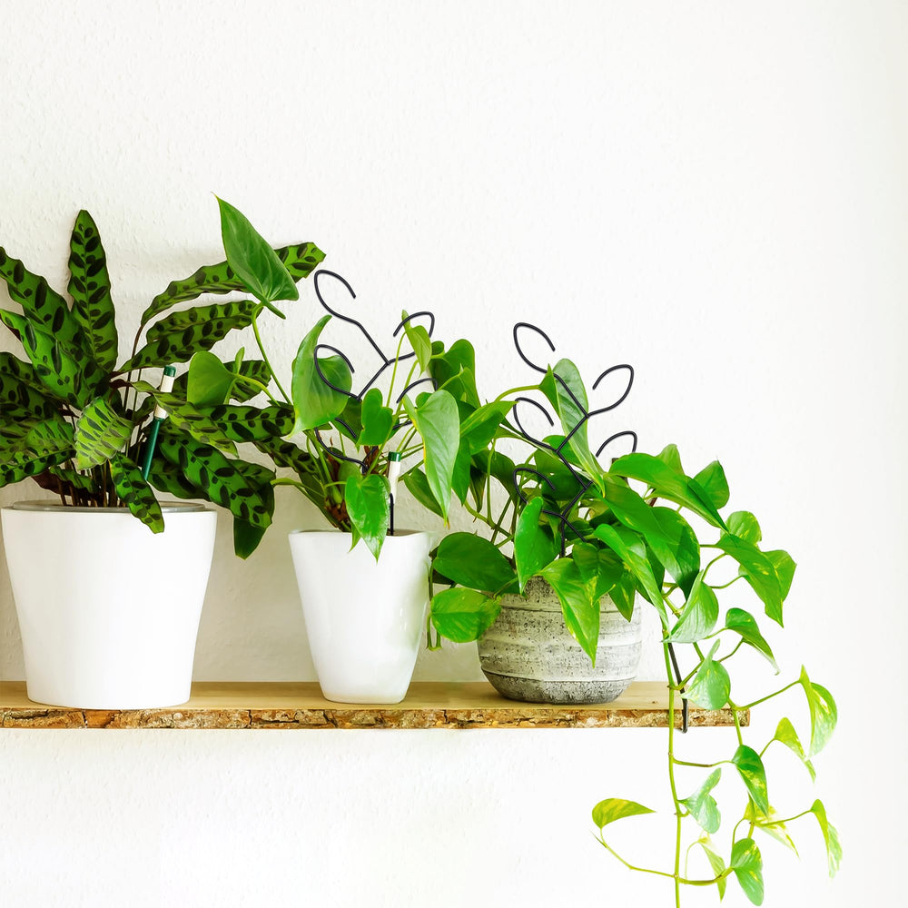 Natrlart Metal Leaf Shape Garden Trellis with potted plant