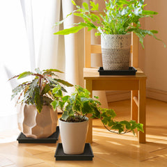 NATSUKY Square Plant Saucer 8 Inch black tray on wooden floor