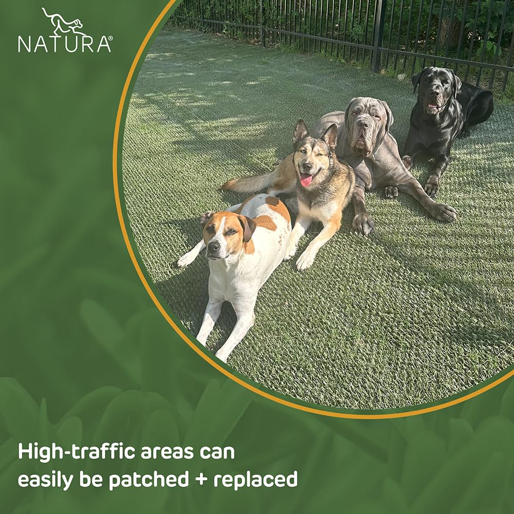 Natura PowerRun turf adjacent to natural grass
