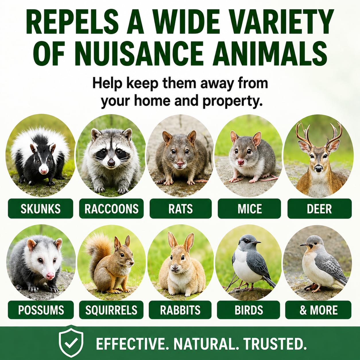 Natural Armor Animal Repellent 128 Fl Oz with peppermint scent