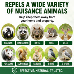 Natural Armor Animal Repellent 128 Fl Oz with peppermint scent