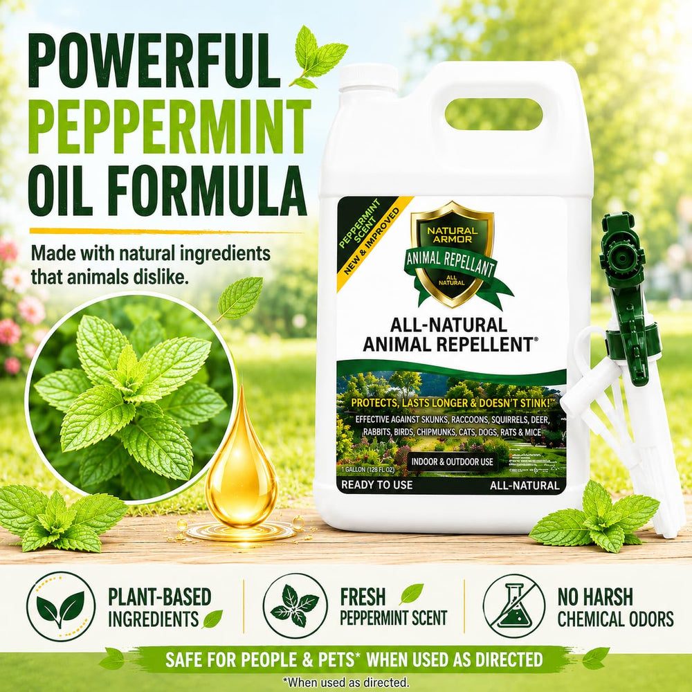 Natural Armor repellent spray application in garden