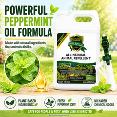 Natural Armor repellent spray application in garden