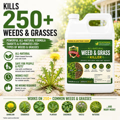 Natural Armor Weed & Grass Killer application in garden