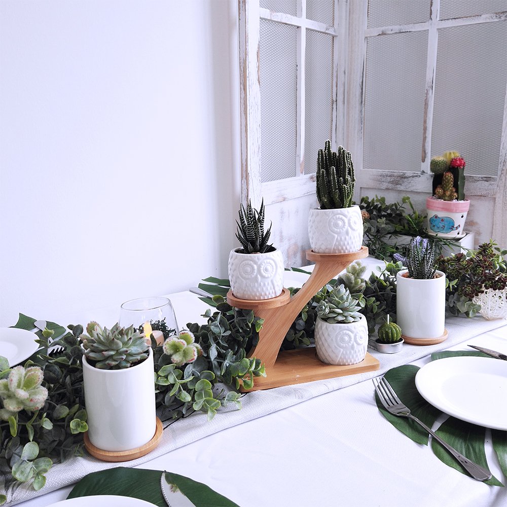 Natural bamboo stand for owl succulent pots