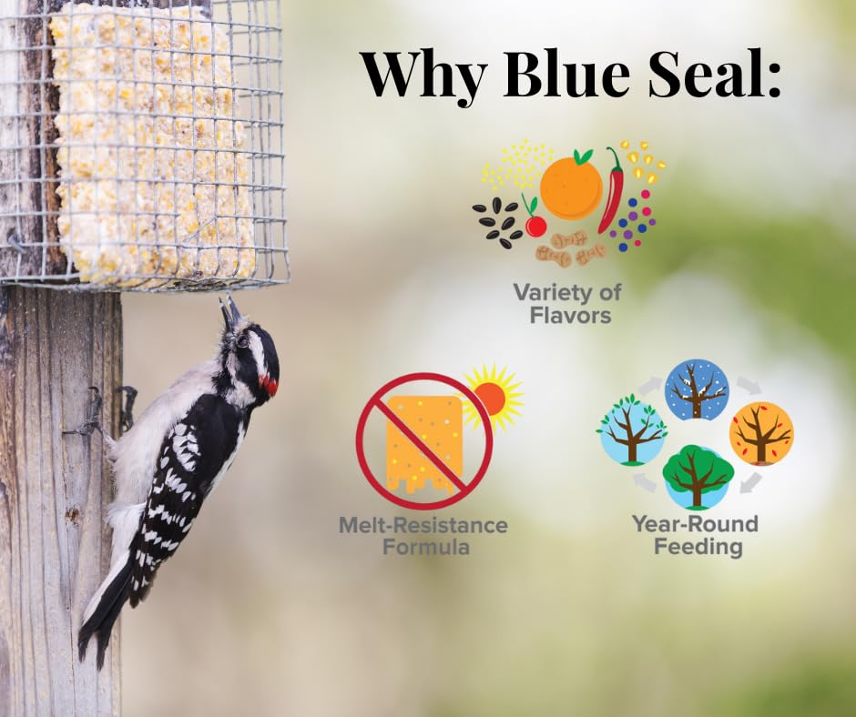 Natural ingredients used in Blue Seal Suet Cakes