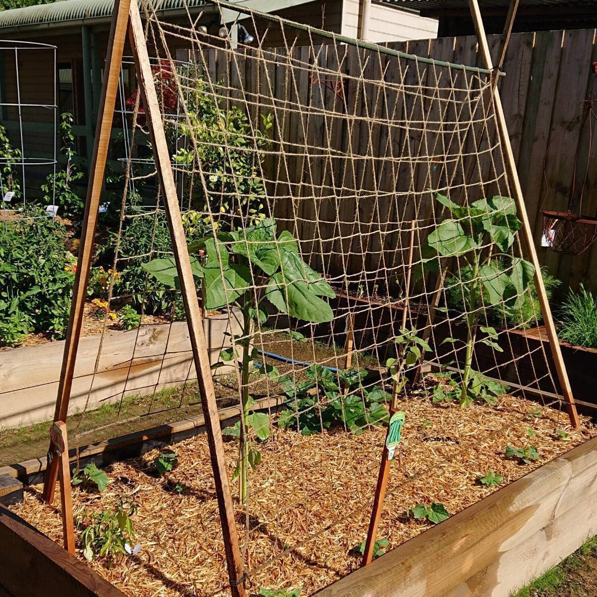 Natural jute material of Miuezuth trellis netting