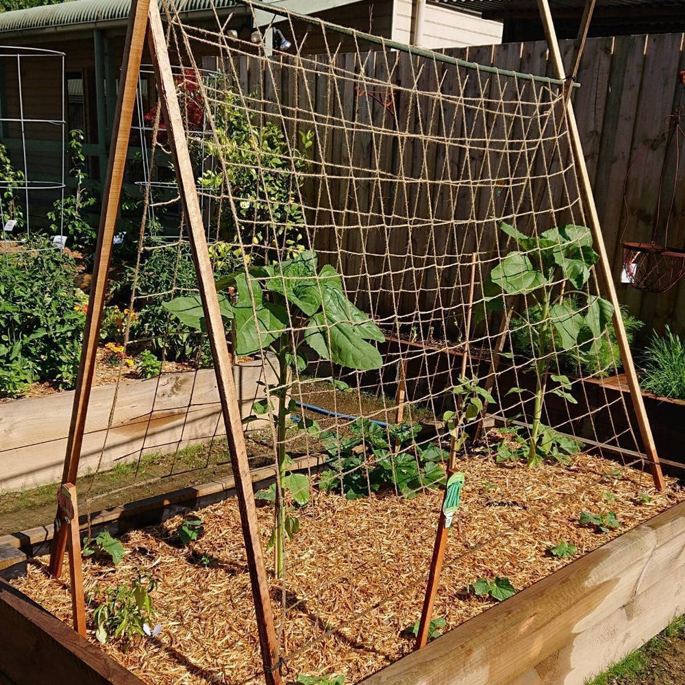Natural jute material of Miuezuth trellis netting