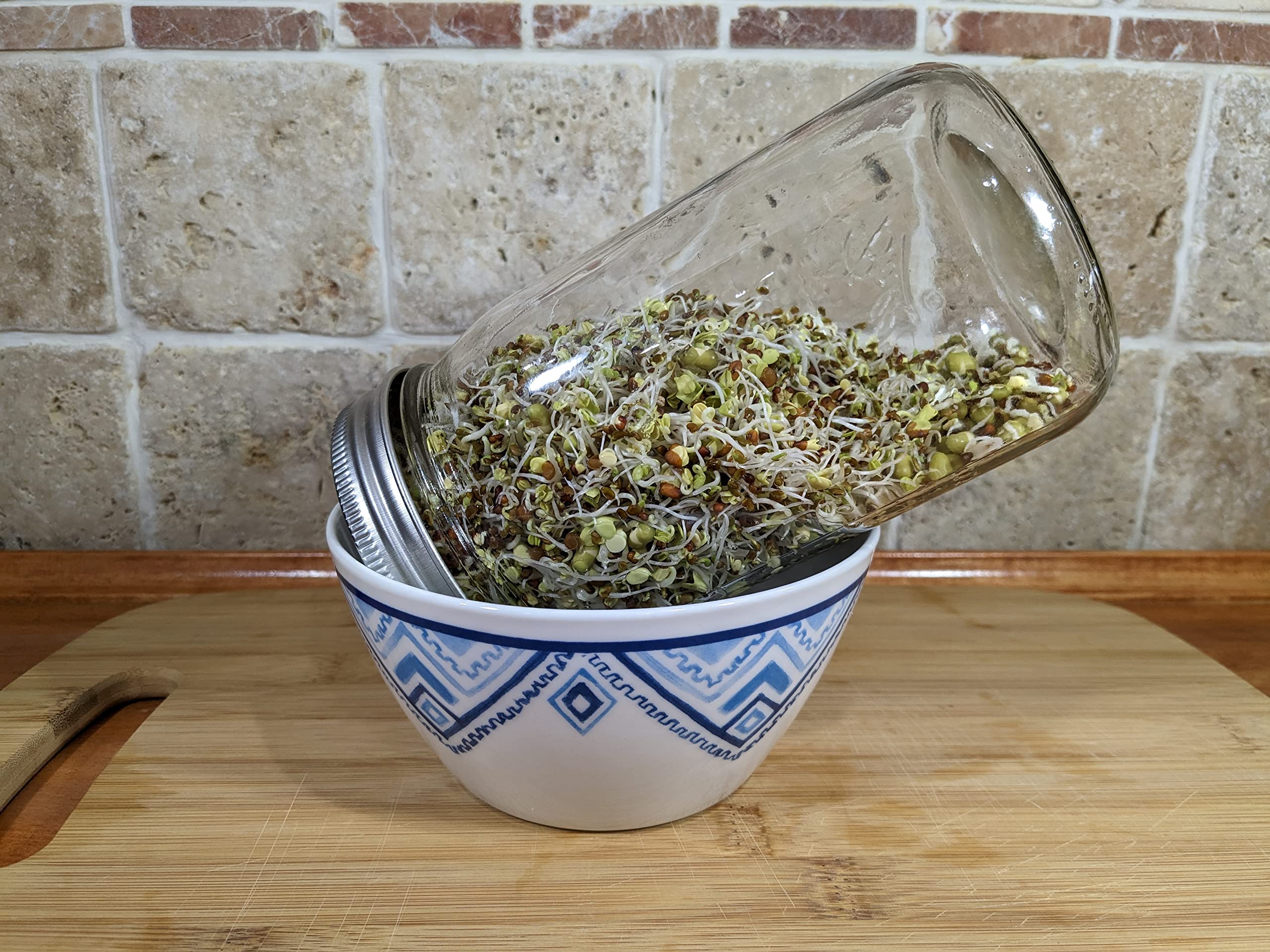 NATURAL ROOTS sprouting seeds showing radish and mung bean seeds