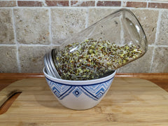 NATURAL ROOTS sprouting seeds showing radish and mung bean seeds