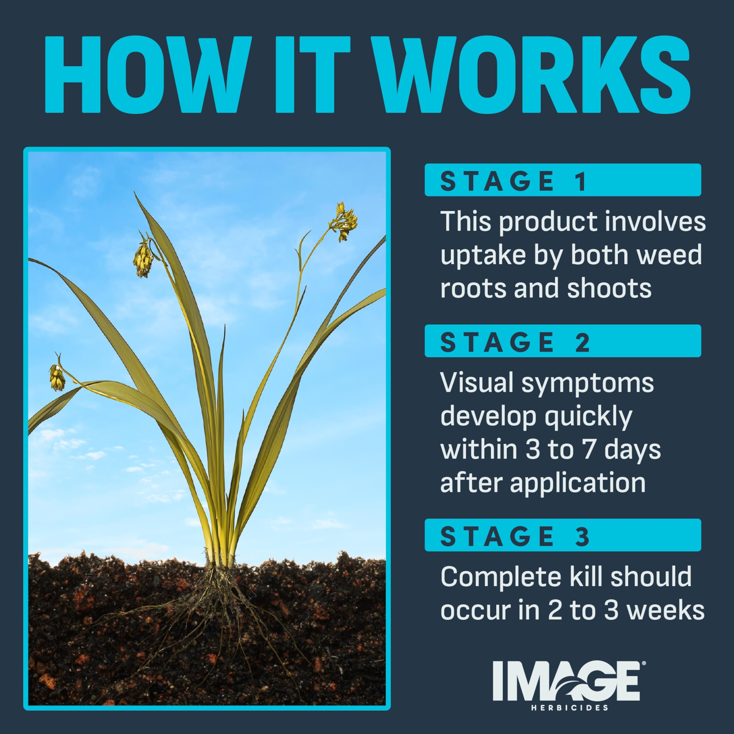 Natural scent description of Image Weed Killer