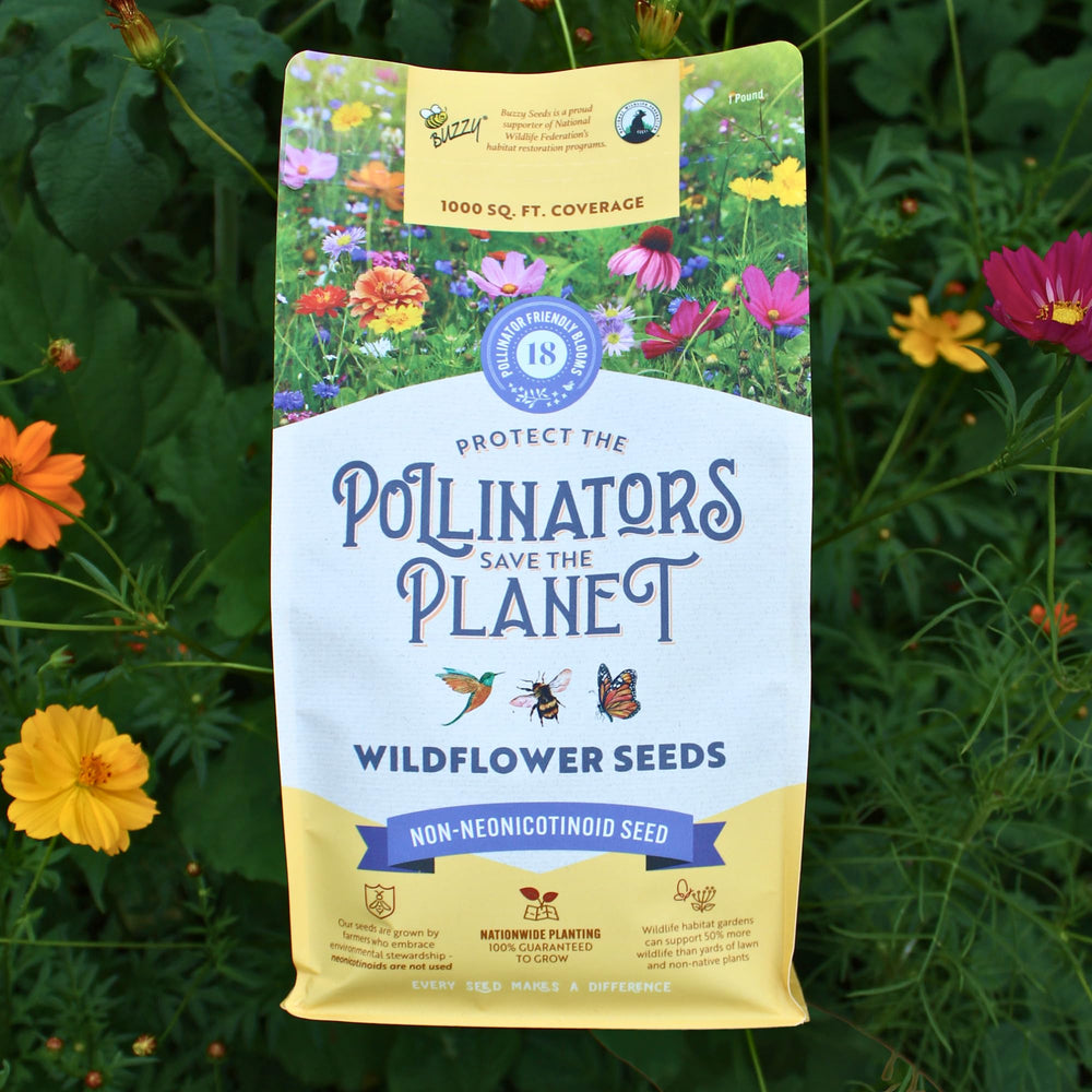 Natural wildflower display from BUZZY seed mix