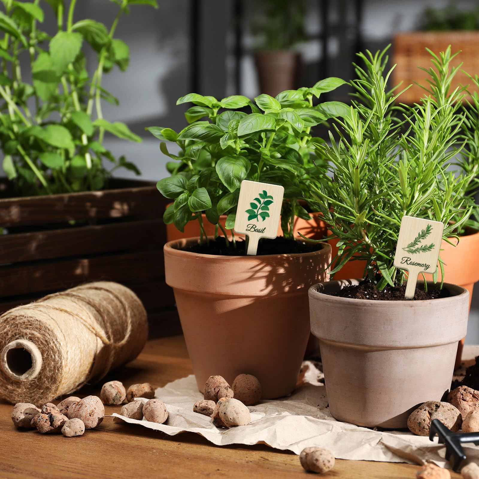 Natural wood texture design of UPINS plant labels