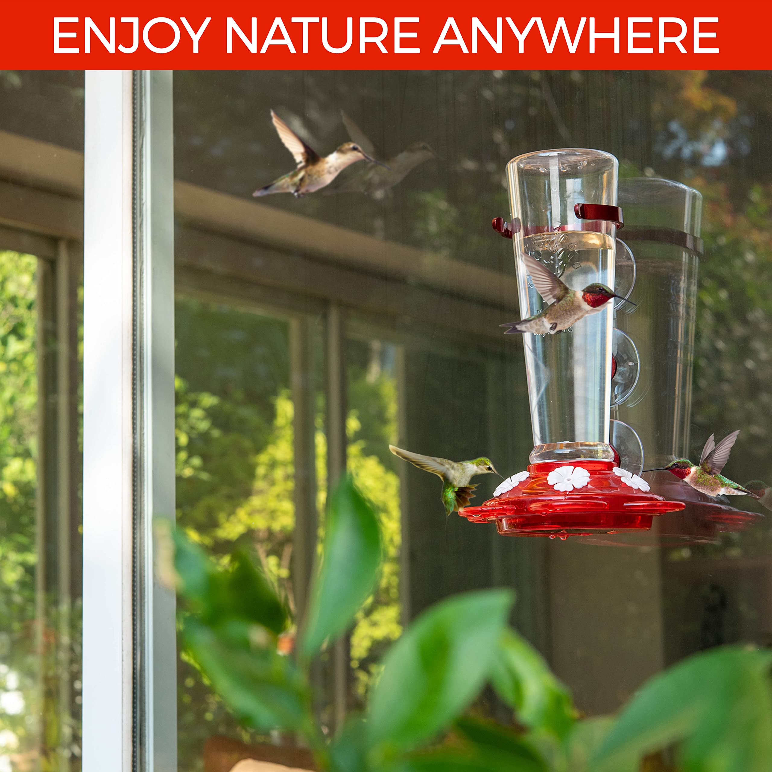 Nature Anywhere hummingbird feeder in outdoor garden setting