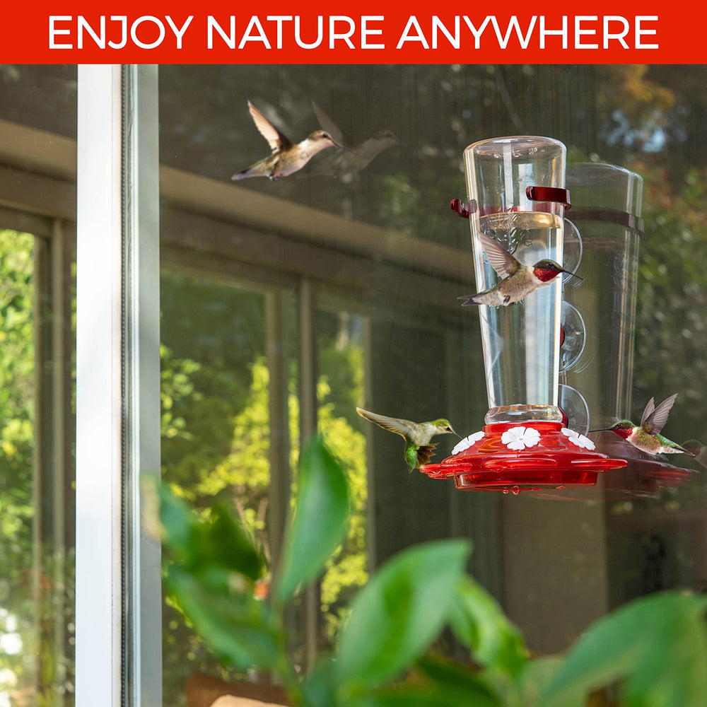 Nature Anywhere hummingbird feeder in outdoor garden setting