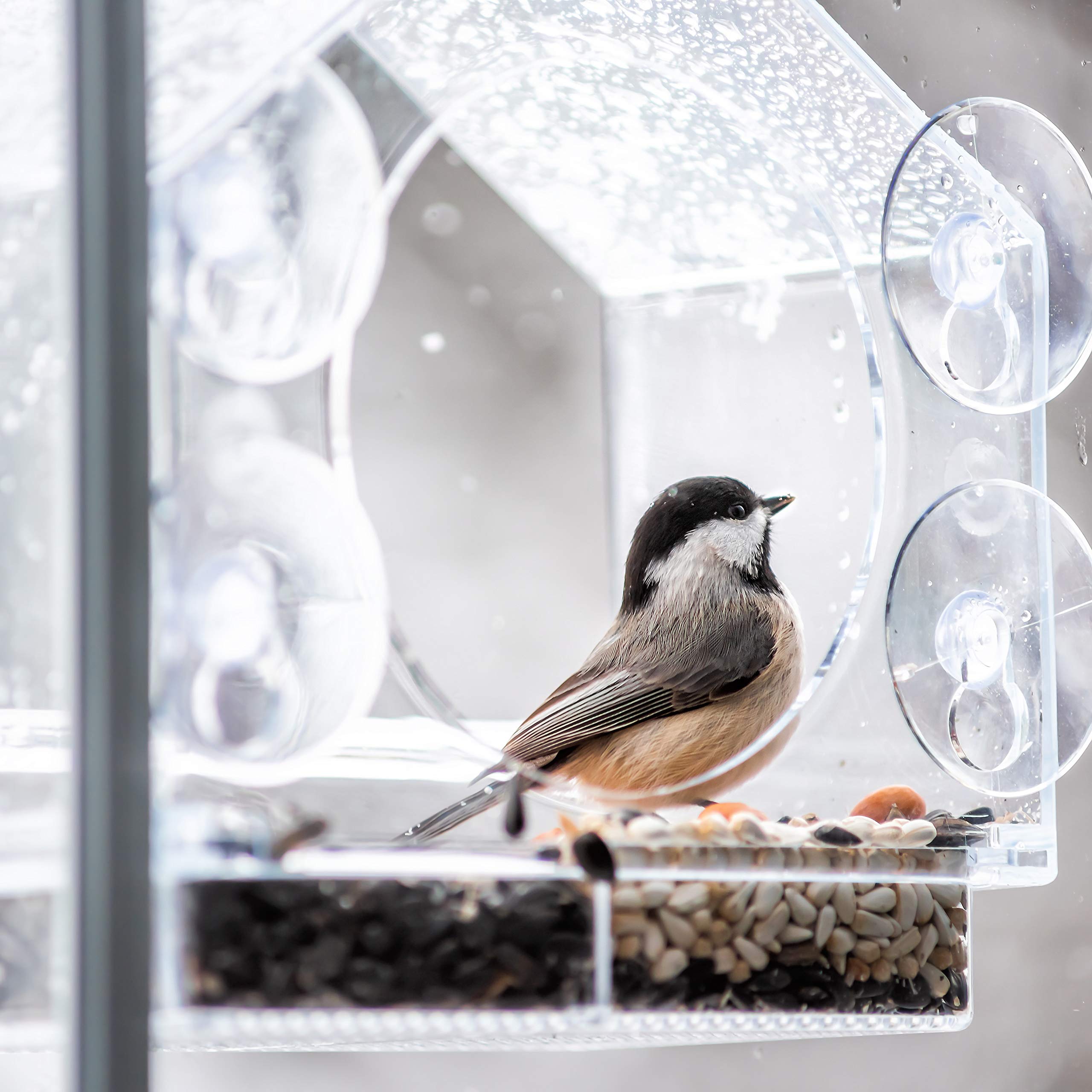 Nature Anywhere suction cups in packaging