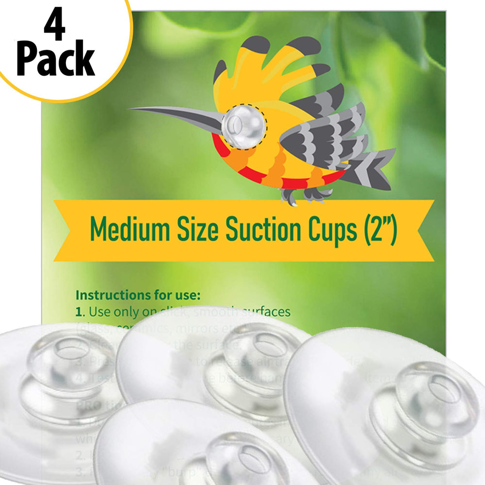 Nature Anywhere suction cups on window holding a bird feeder