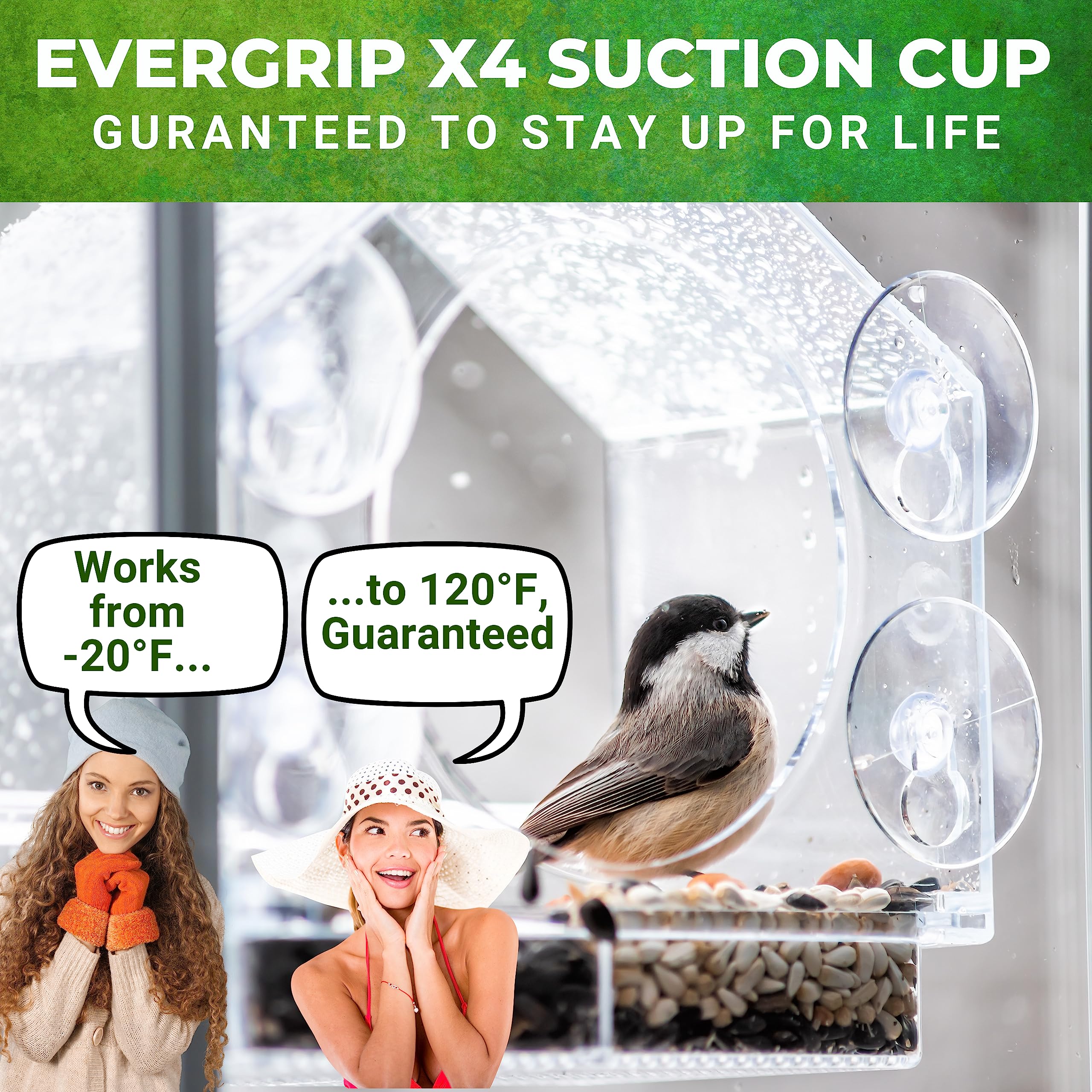 Nature Anywhere Window Bird Feeder mounted on a glass window