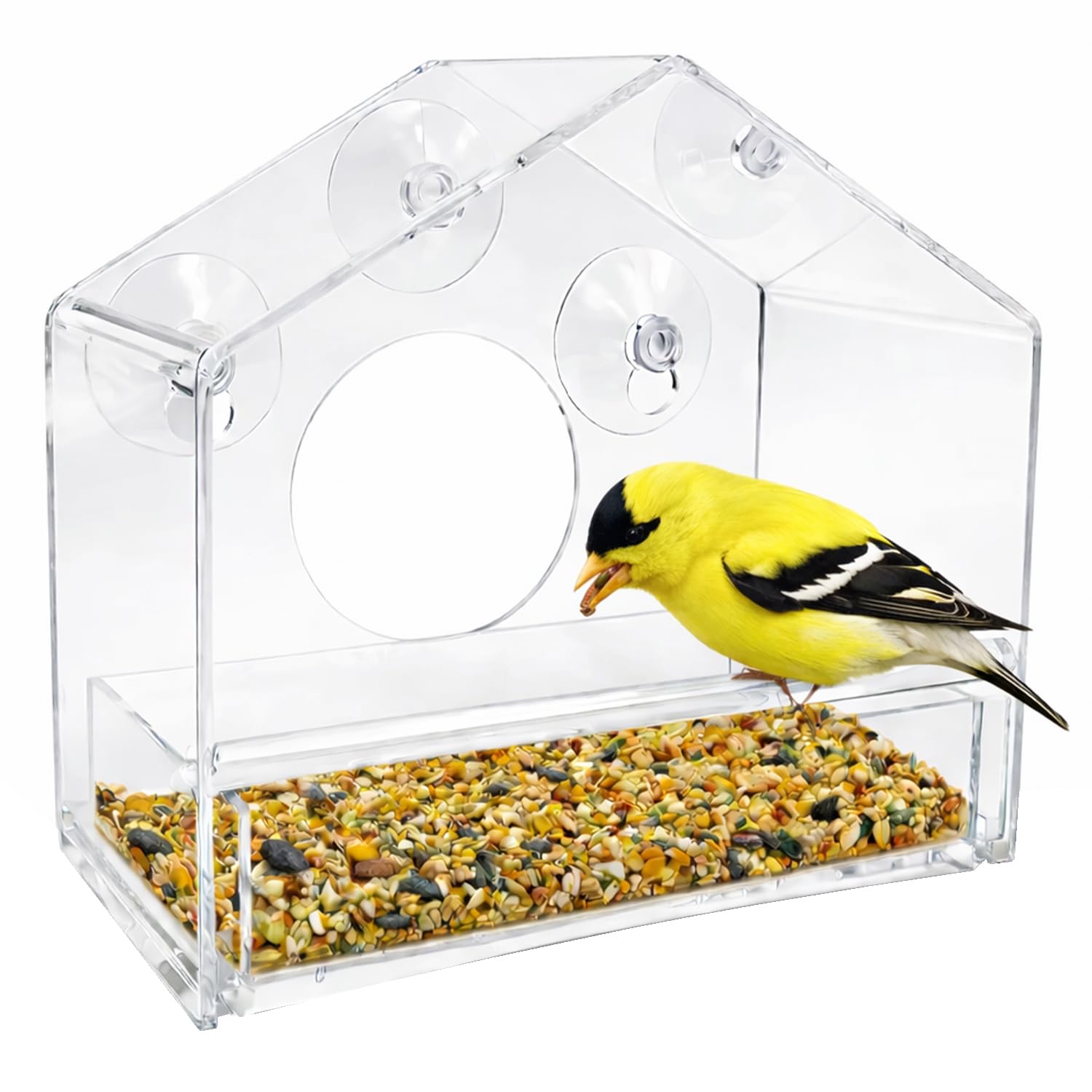 Nature Gear Window Bird Feeder front view with clear acrylic design