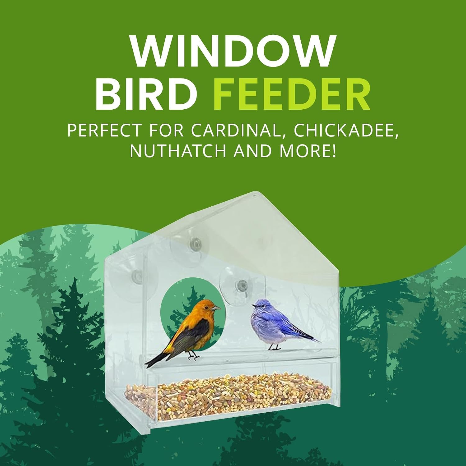 Nature Gear Window Bird Feeder in use on window with birds feeding