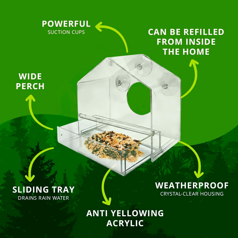 Nature Gear Window Bird Feeder showing spacious design for multiple birds