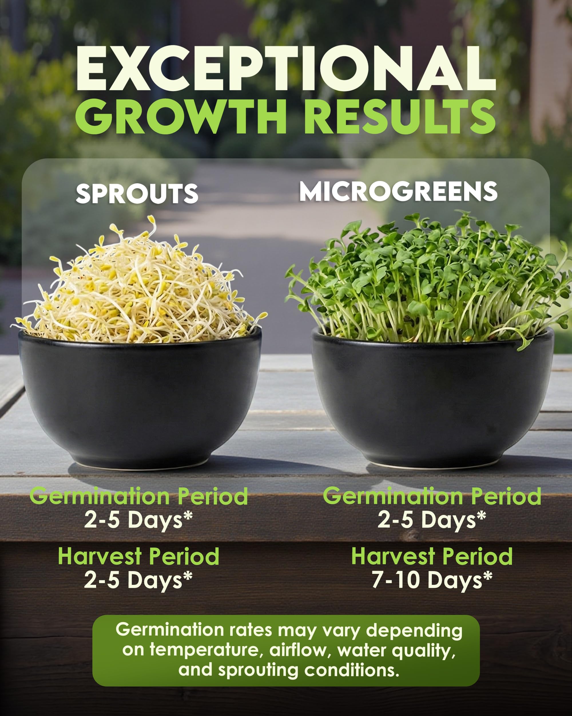 Nature Jims Organic Alfalfa Sprouts growing in a jar