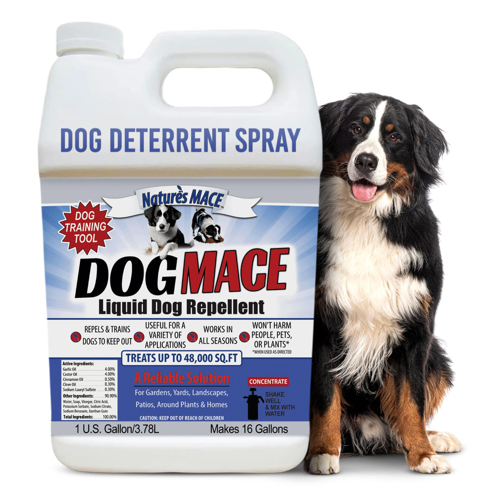 Nature's MACE Dog Mace 1 Gallon Concentrate front view