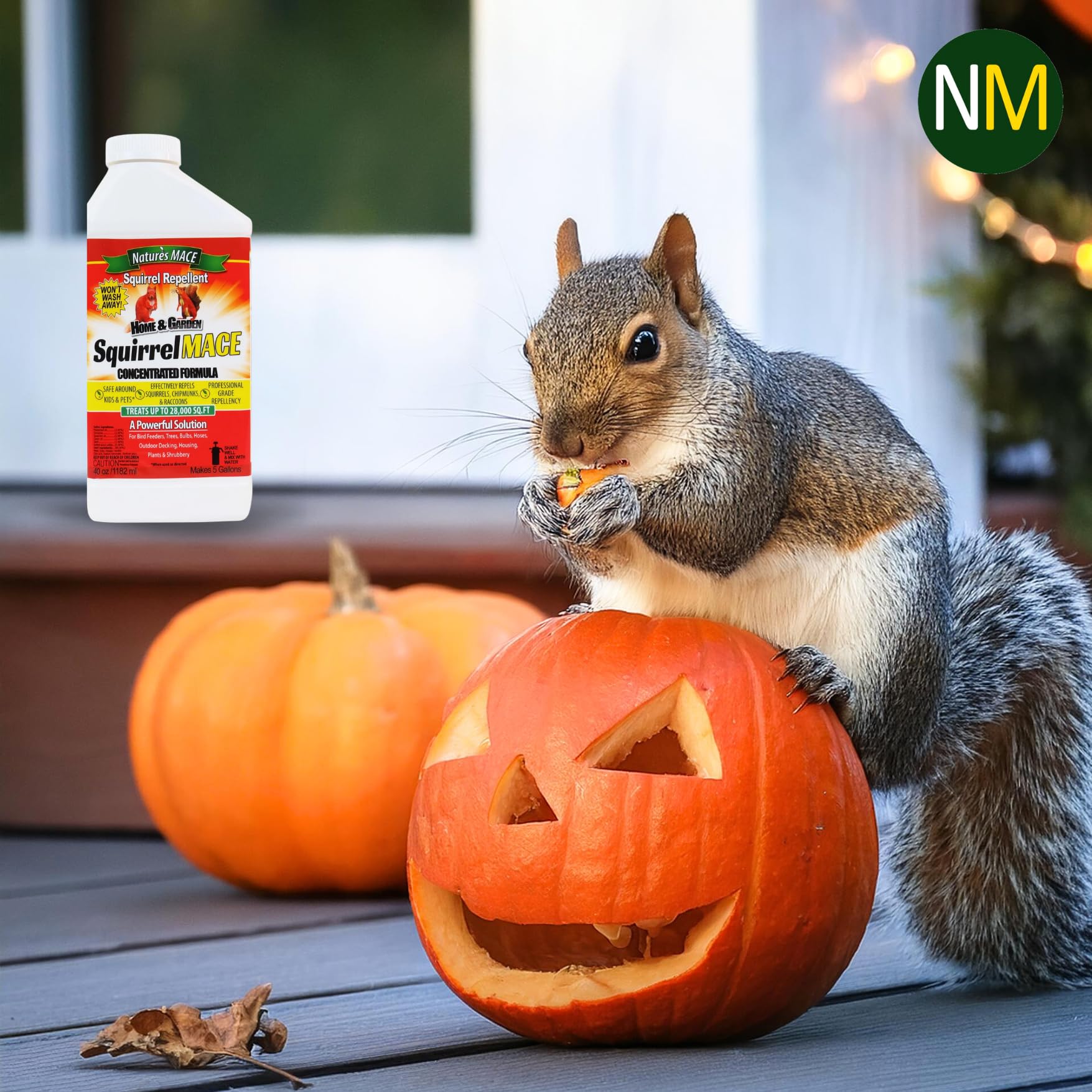 Nature's MACE Squirrel Mace Repellent 40 oz concentrate being applied