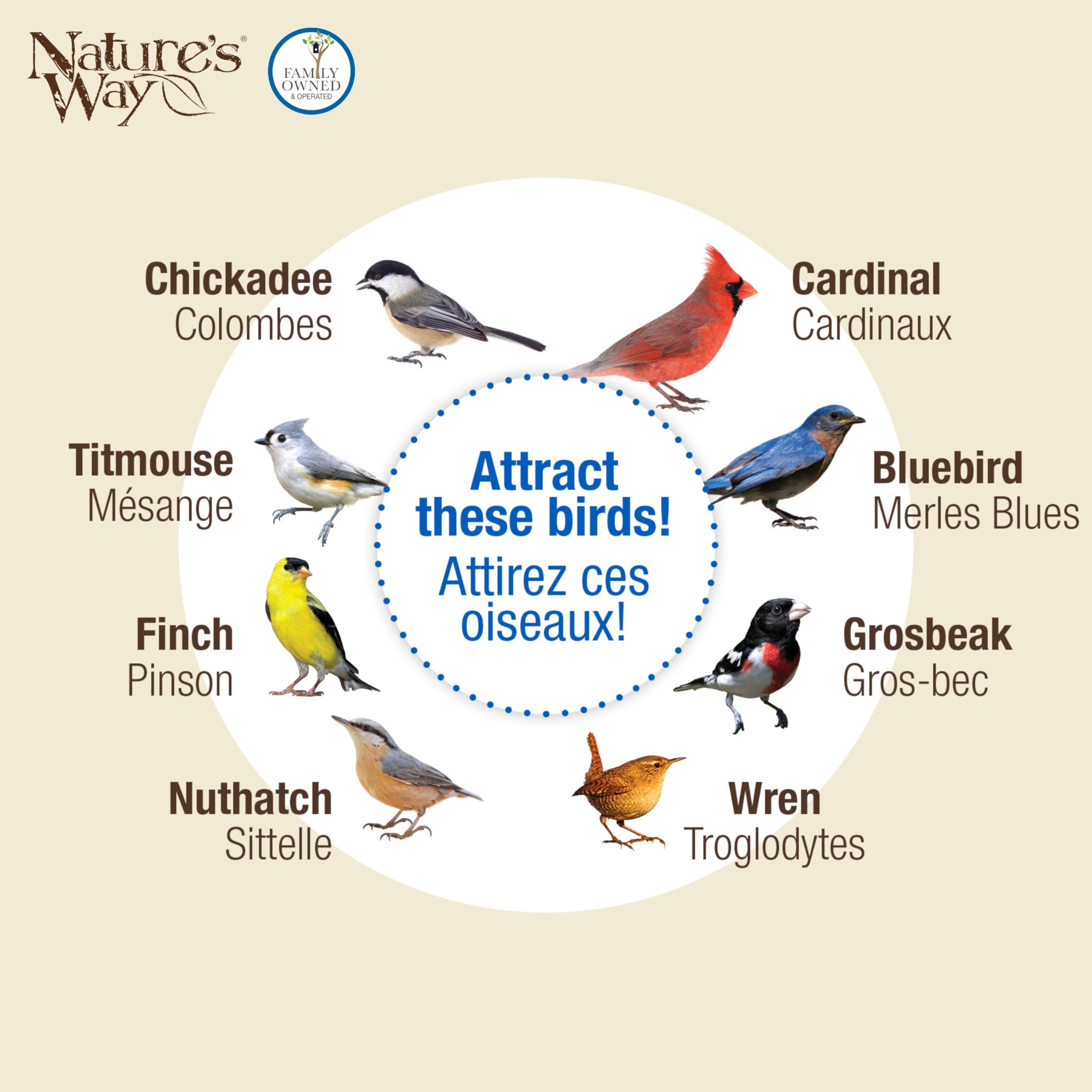NATURE'S WAY Clear View Window Bird Feeder clear design
