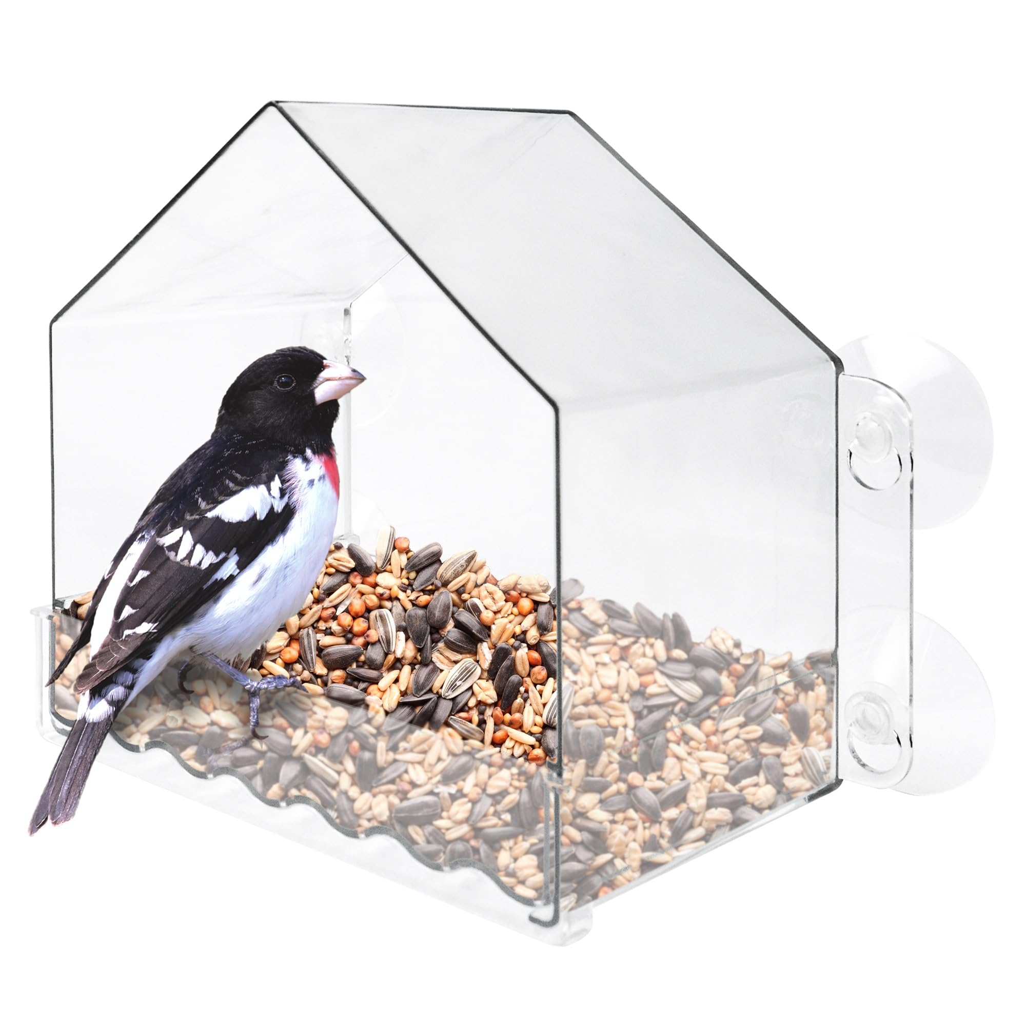NATURE'S WAY Clear View Window Bird Feeder front view with suction cups
