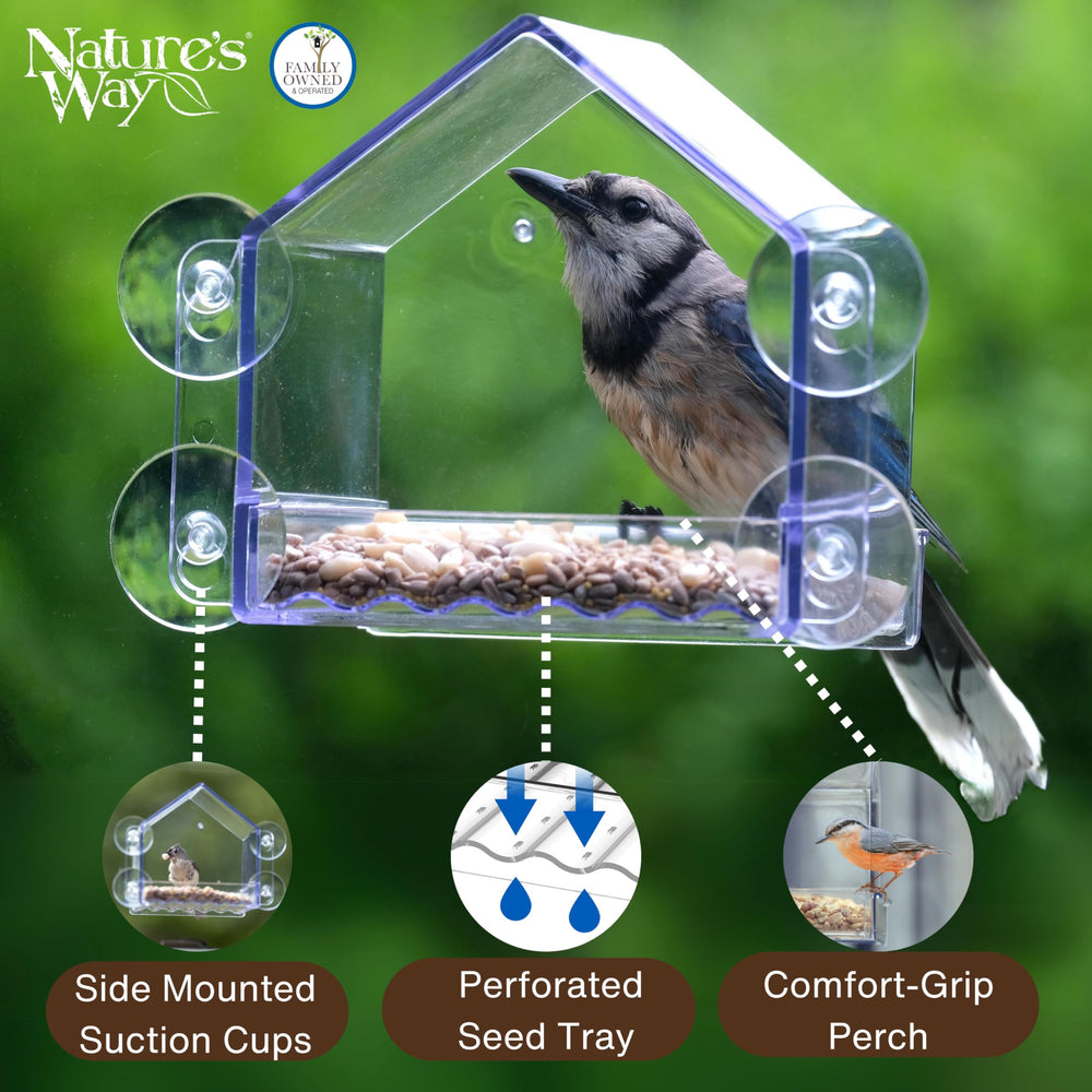NATURE'S WAY Clear View Window Bird Feeder mounted on window