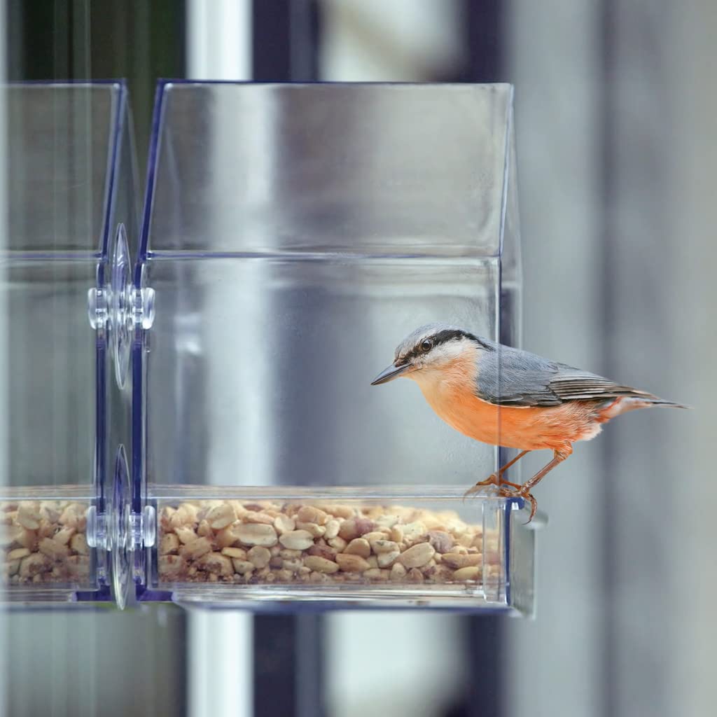 NATURE'S WAY Clear View Window Bird Feeder with seed tray