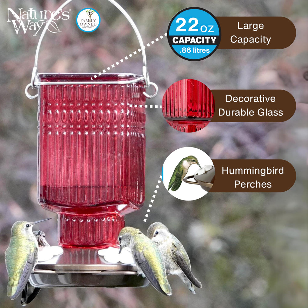 NATURE'S WAY Hummingbird Feeder hanging with nectar inside