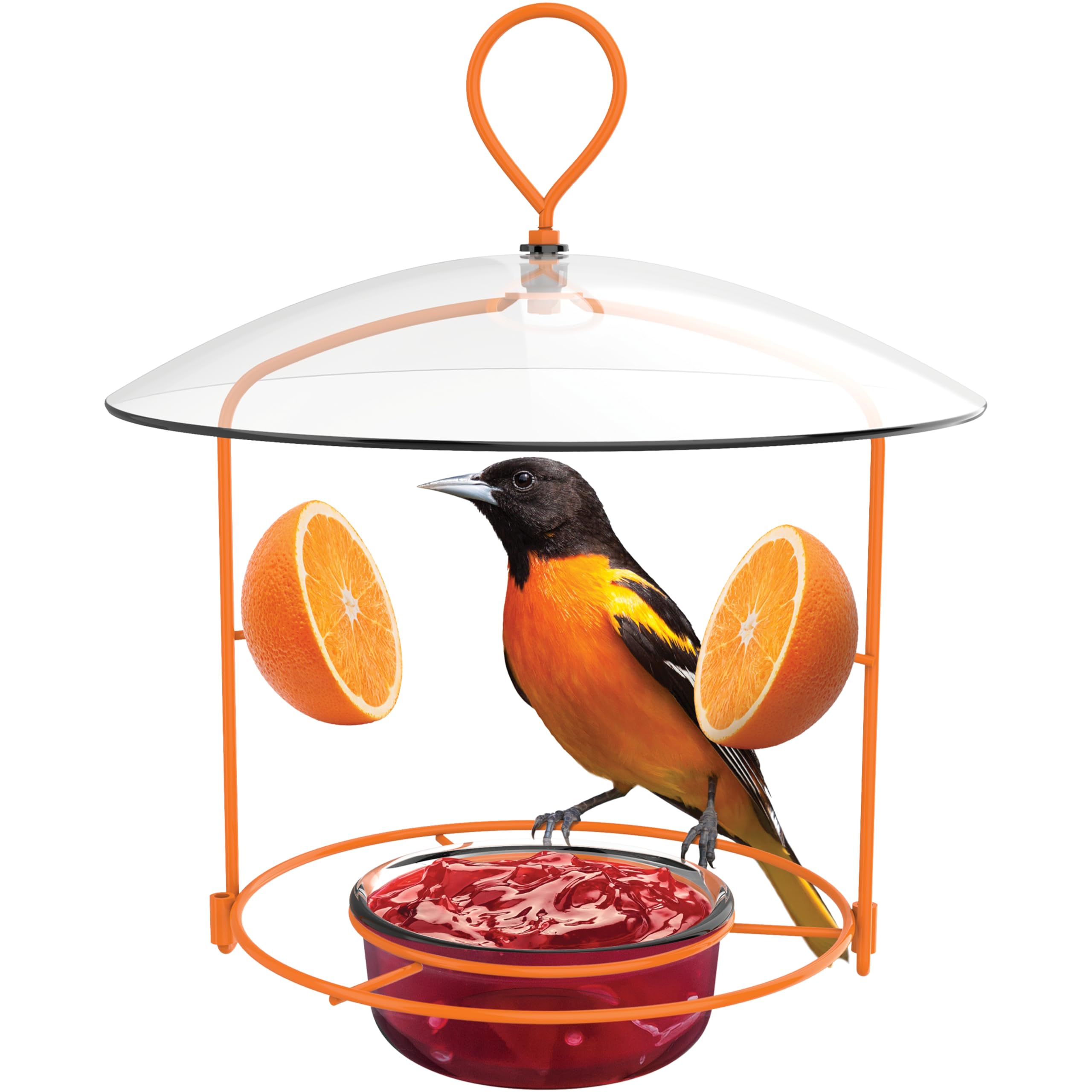 NATURE'S WAY OFM1 Wire Oriole Feeder front view with vibrant orange colour