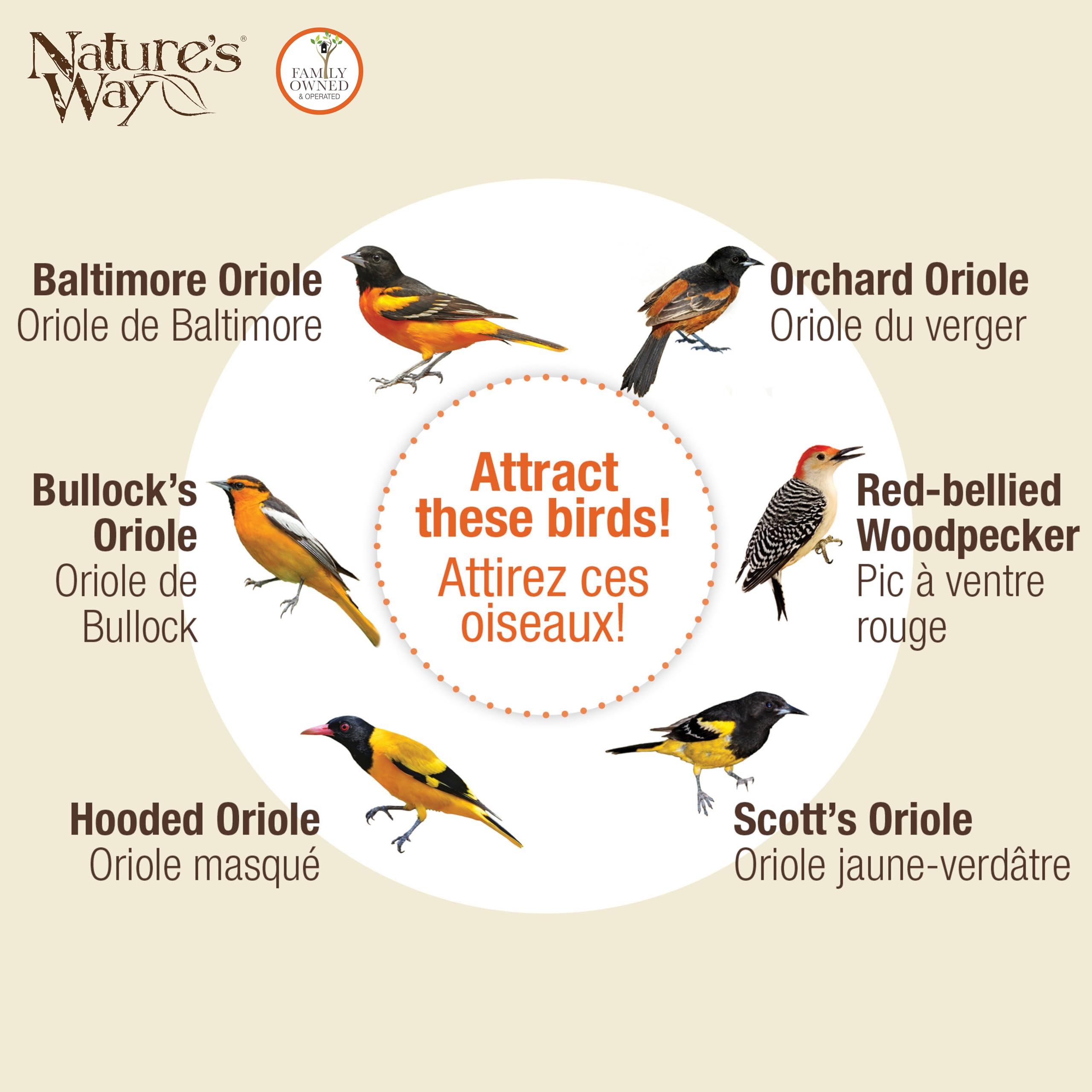 NATURE'S WAY OFM1 Wire Oriole Feeder in a garden setting