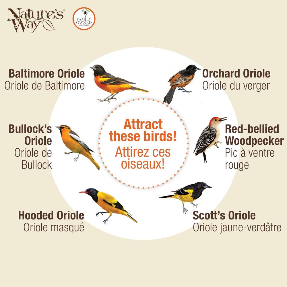 NATURE'S WAY OFM1 Wire Oriole Feeder in a garden setting