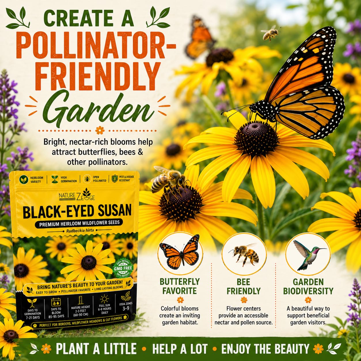 NatureZ Edge Black Eyed Susan Seeds packet back view with planting instructions