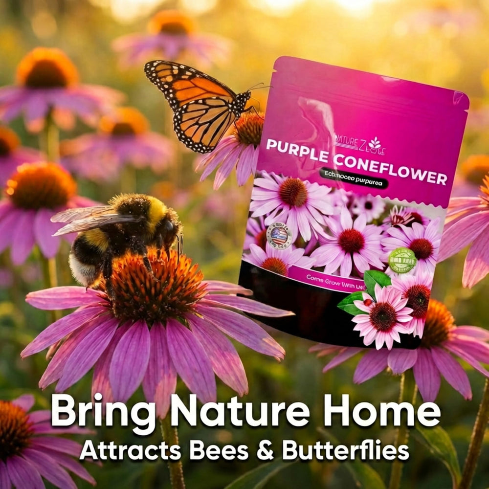 NatureZ Edge Echinacea Seeds package back view with planting instructions