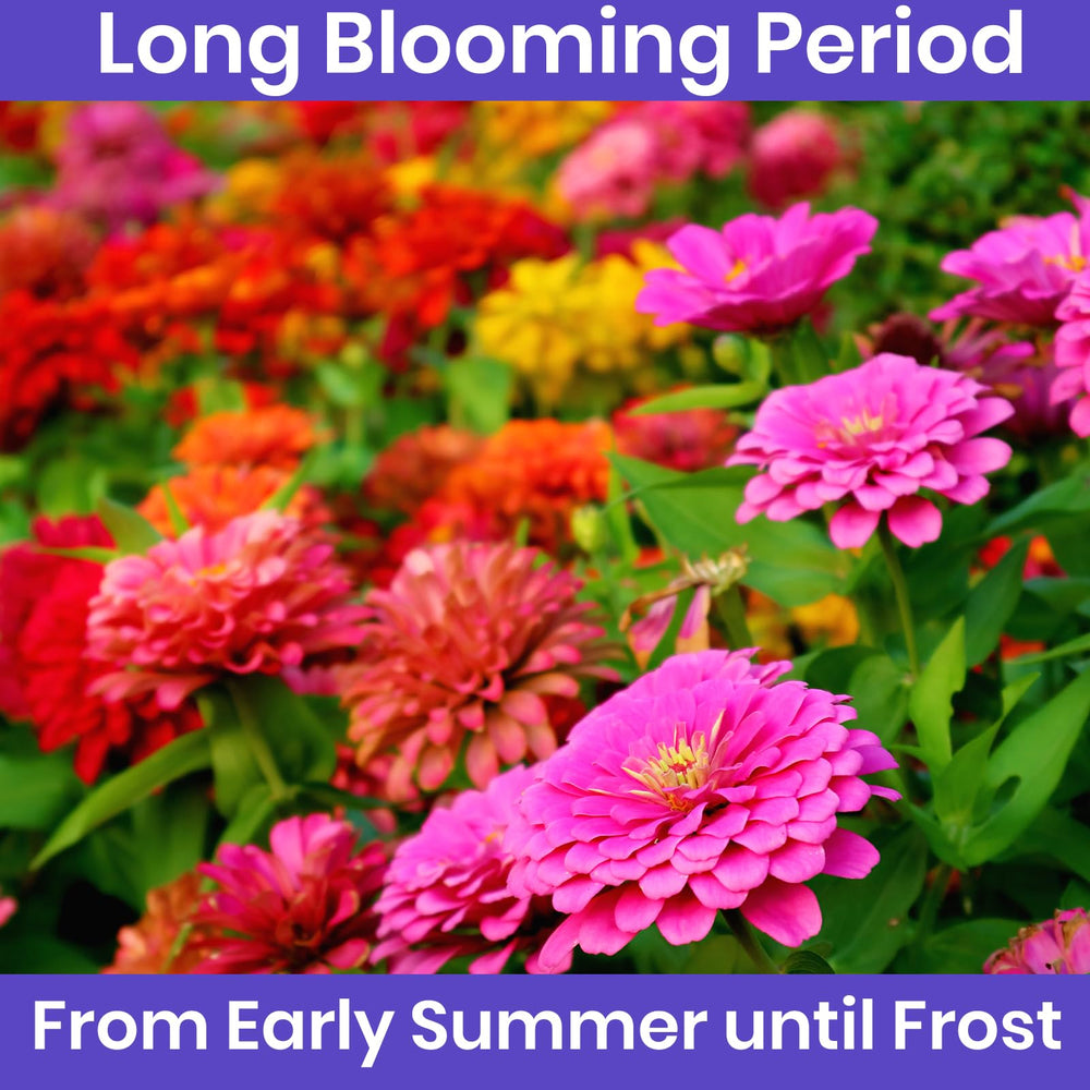 NatureZ Edge gardening support information brochure
